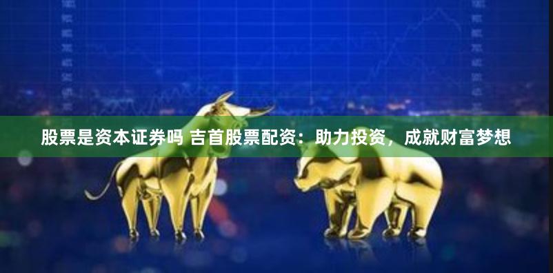 股票是资本证券吗 吉首股票配资：助力投资，成就财富梦想