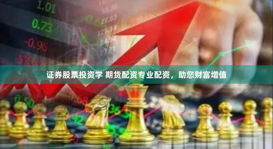 证券股票投资学 期货配资专业配资，助您财富增值