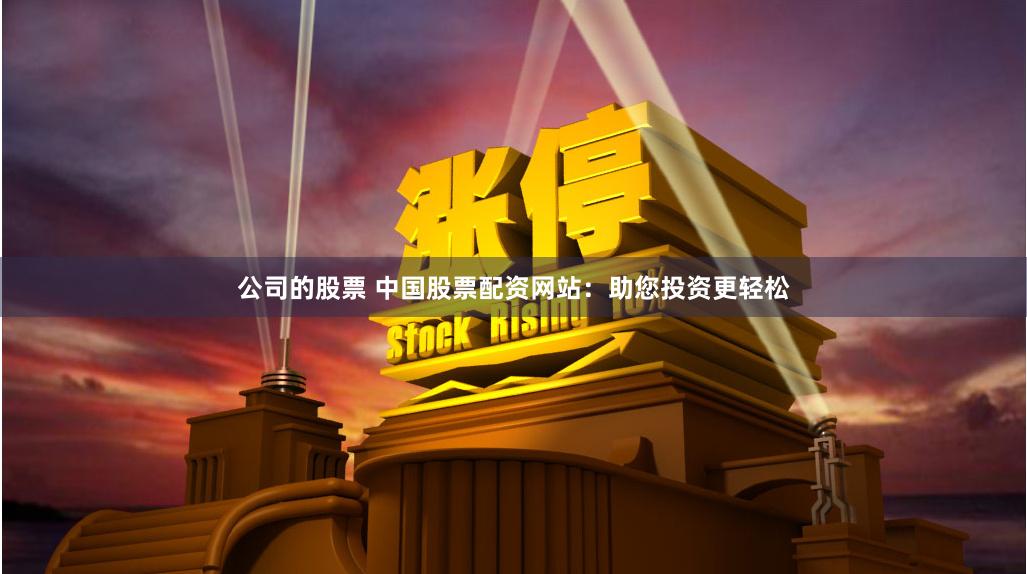 公司的股票 中国股票配资网站：助您投资更轻松